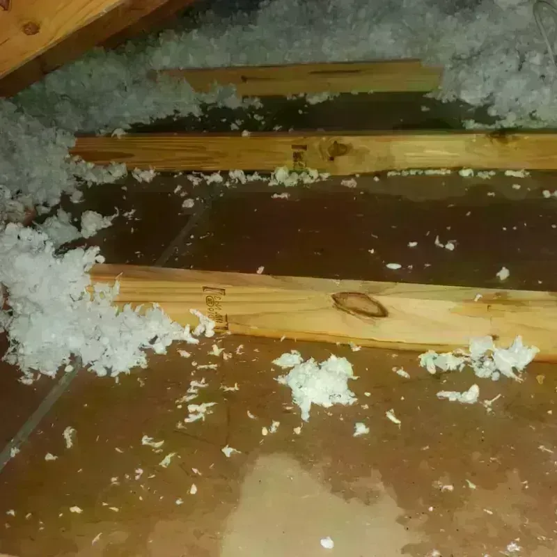 Attic Water Damage in La Salle County, TX